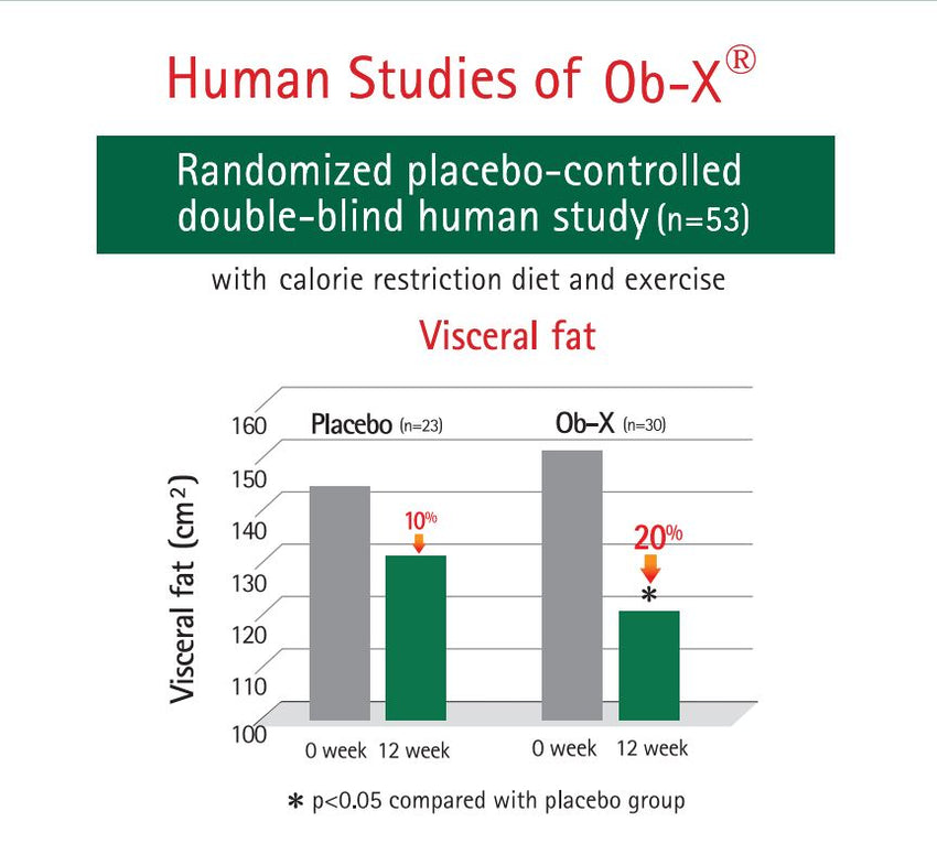 Ob-X - Koreanischer Körperfettanteil Reduktion Tabletten 60pcs