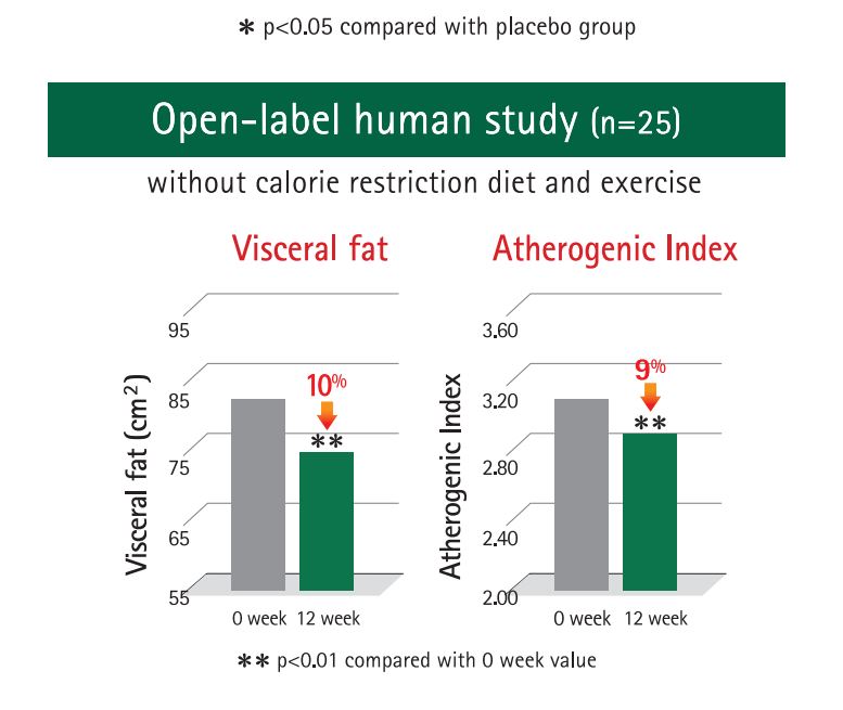 Ob-X - Koreanischer Körperfettanteil Reduktion Tabletten 60pcs