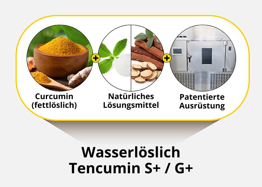 Koreanische Kurkuma Tabletten mit wasserlöslichem Curcumin 60 Stück